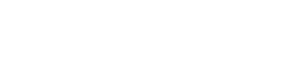logo full white